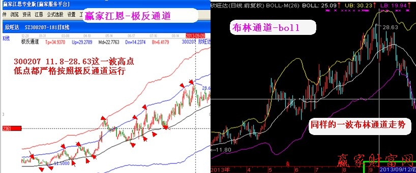 極反、布林