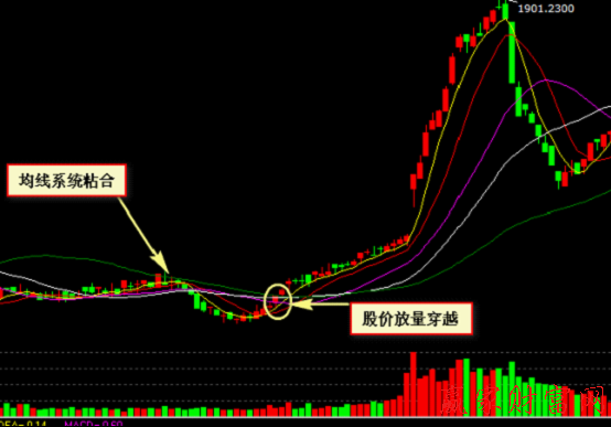 000008  寶利來  1分鐘圖上均線系統(tǒng)粘合后股價(jià)向上穿越買入法實(shí)例圖