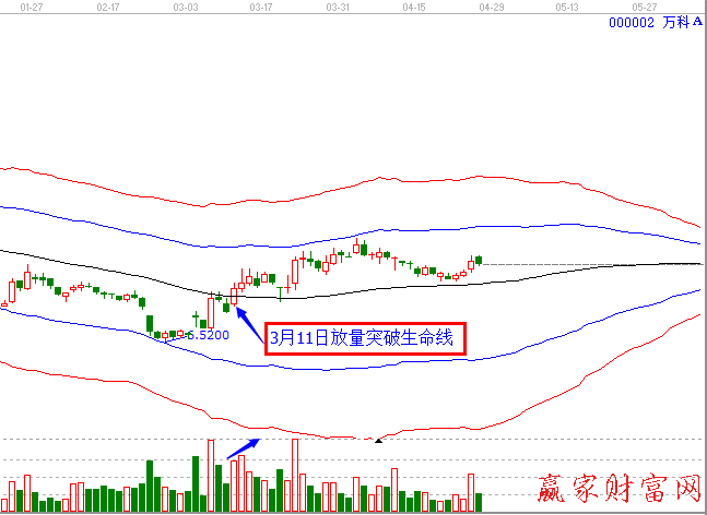 江恩百分比