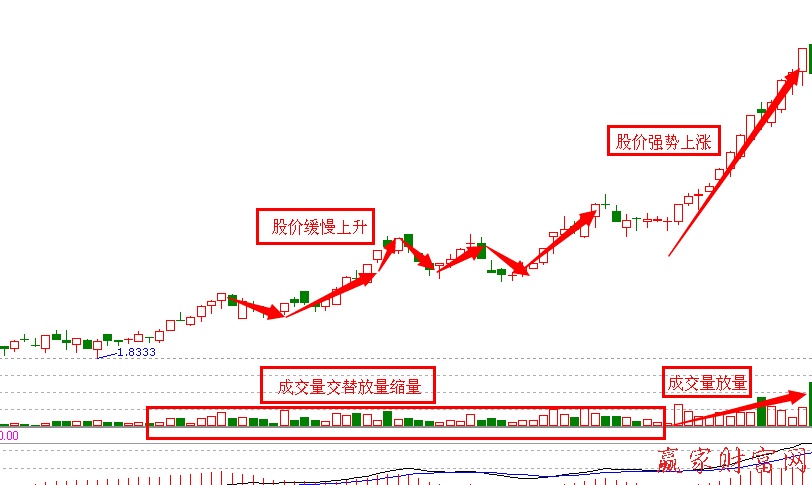 莊家蝶式建倉