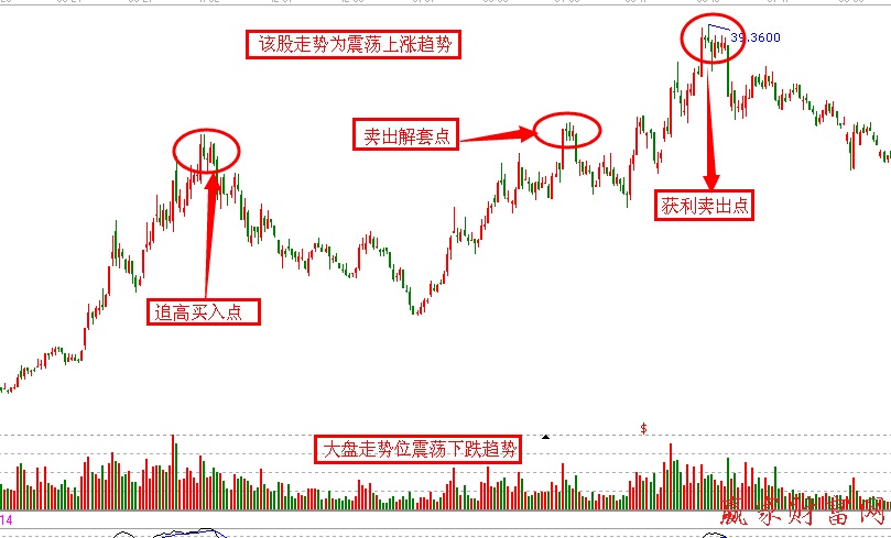 熊市中尋找龍頭股