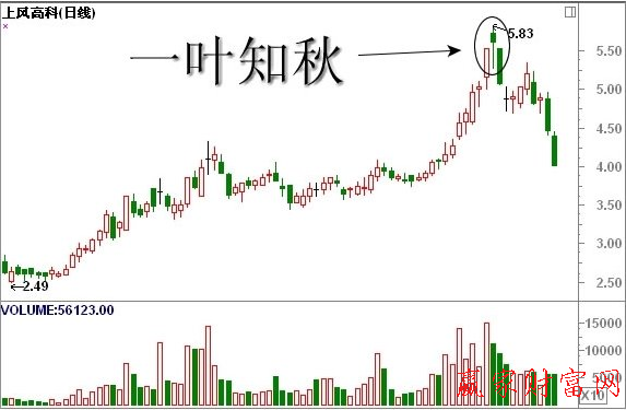 一葉知秋