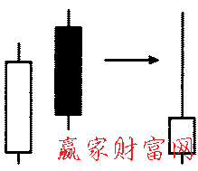 形態(tài)的簡化