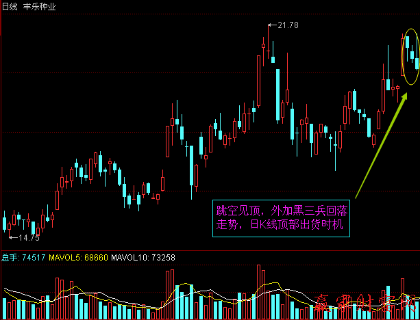 豐樂種業(yè)