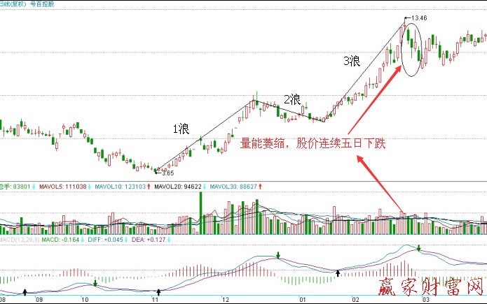 中衛(wèi)國脈走勢(shì)圖