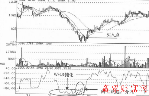 仙人指路組合怎么分析