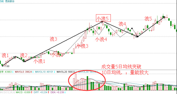 芭田股份2010年7月至11月的走勢(shì)