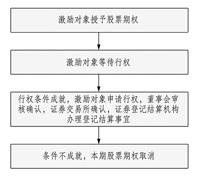 股票期權激勵方案實施流程