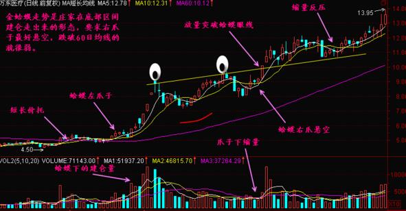 金蛤蟆形態(tài)實戰(zhàn)教程