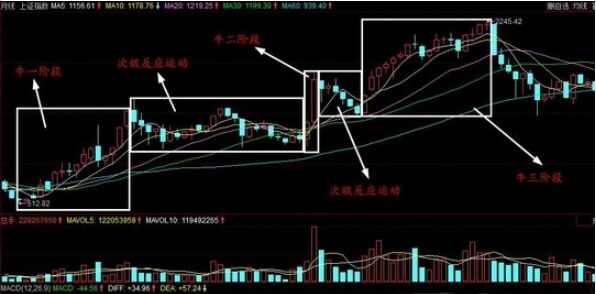 次級(jí)反應(yīng)運(yùn)動(dòng)形成的原因