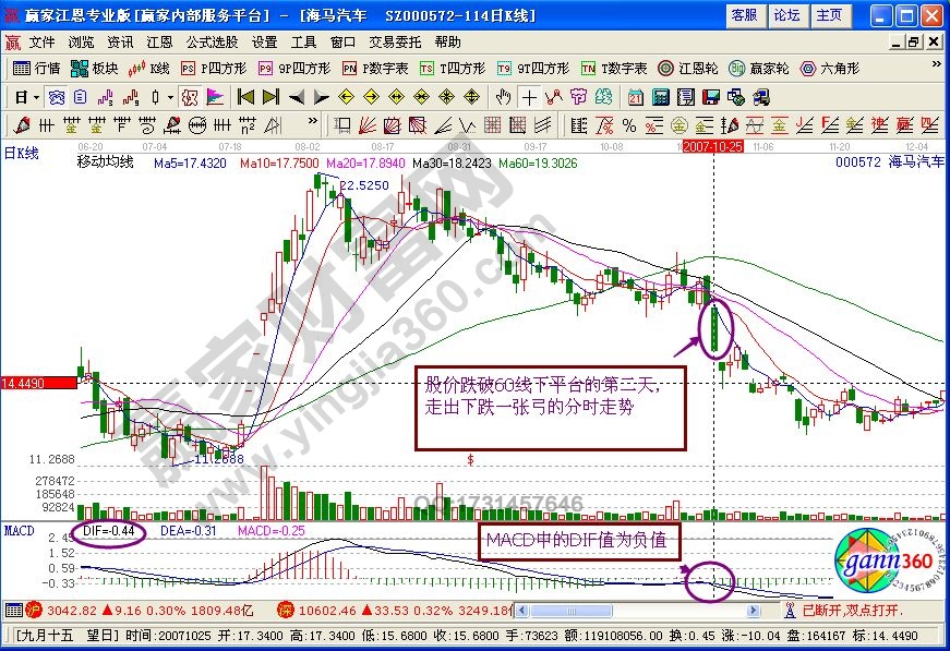 分時“一張弓”形態(tài)特征