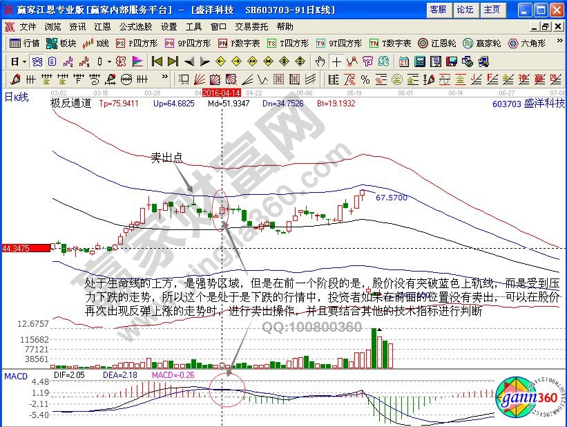 盛洋科技極反通道