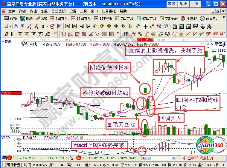 利用“猛龍過(guò)江”投資新五豐的技術(shù)分析