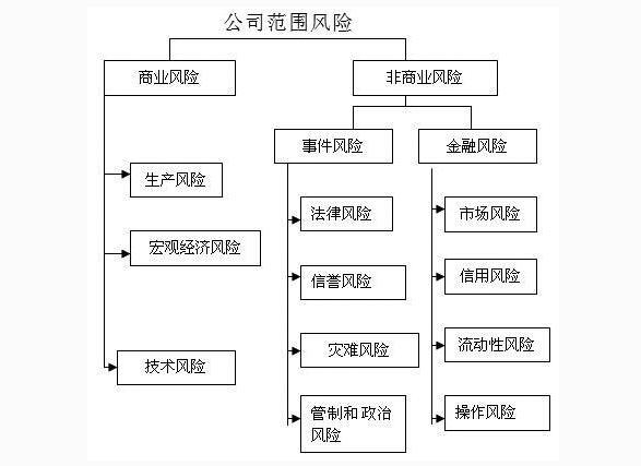 公司范圍之內(nèi)的風(fēng)險