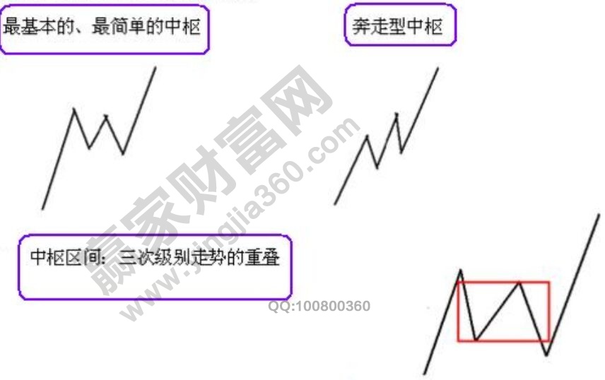 中樞的定義