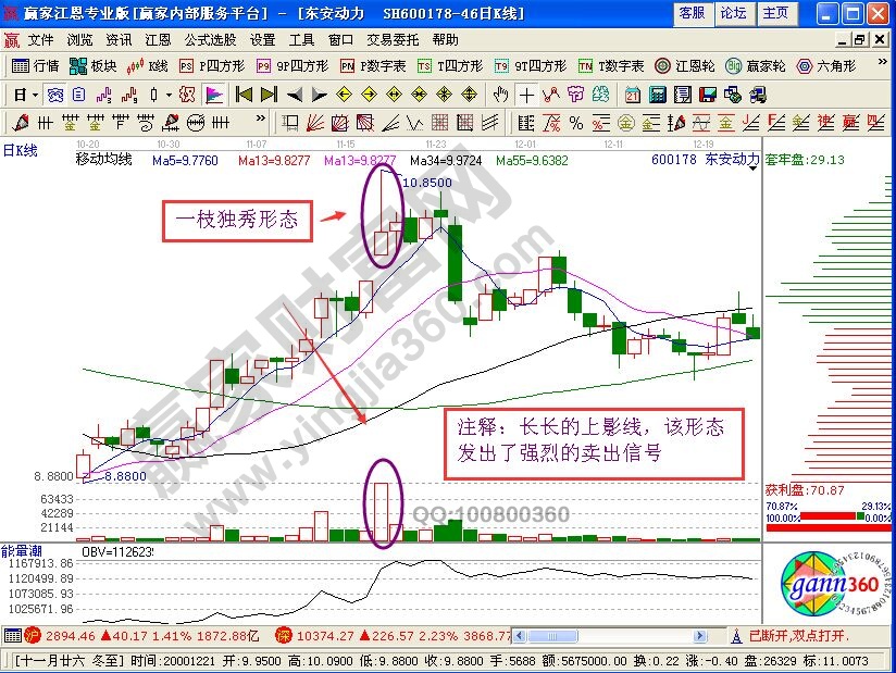 “一枝獨(dú)秀”形態(tài)