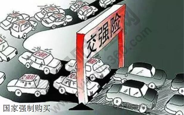 汽車保險(xiǎn)