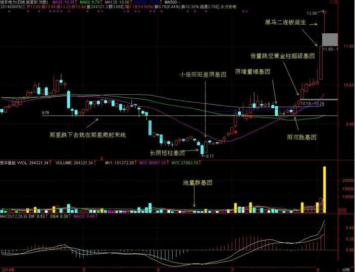 桂東電力翻倍黑馬