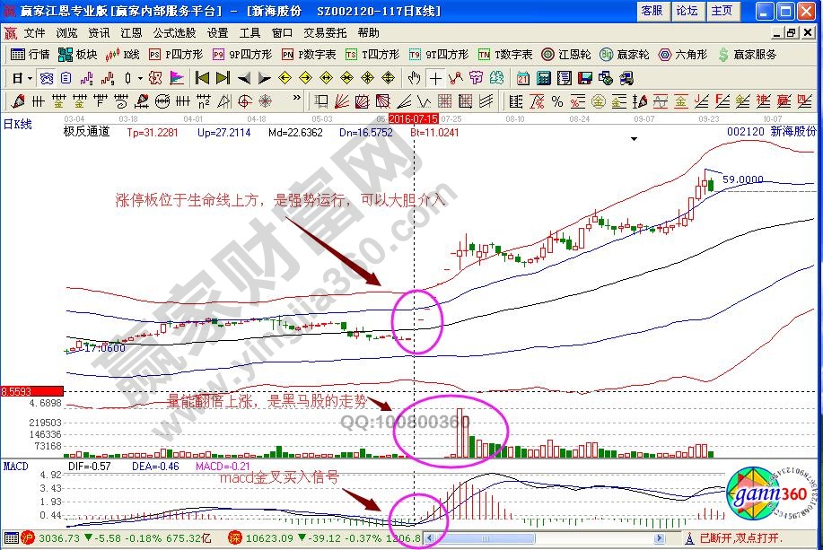 新海股份002120