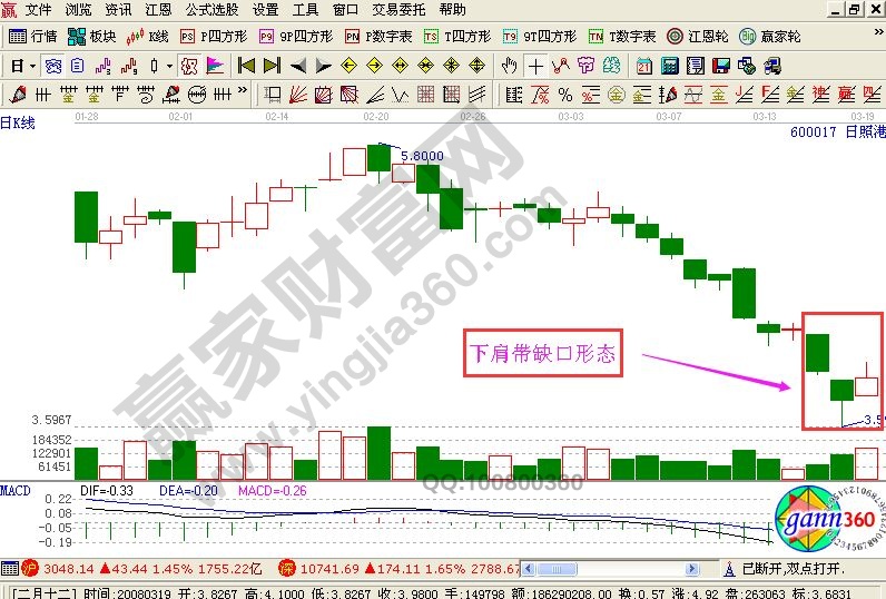 下肩帶缺口形態(tài)