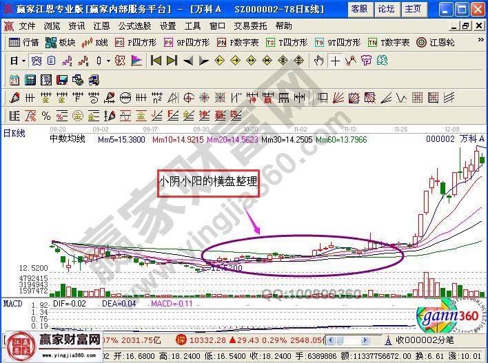 小陰小陽的橫盤整理