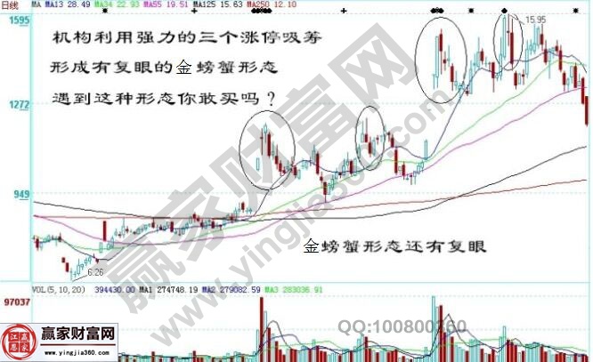 金螃蟹形態(tài)