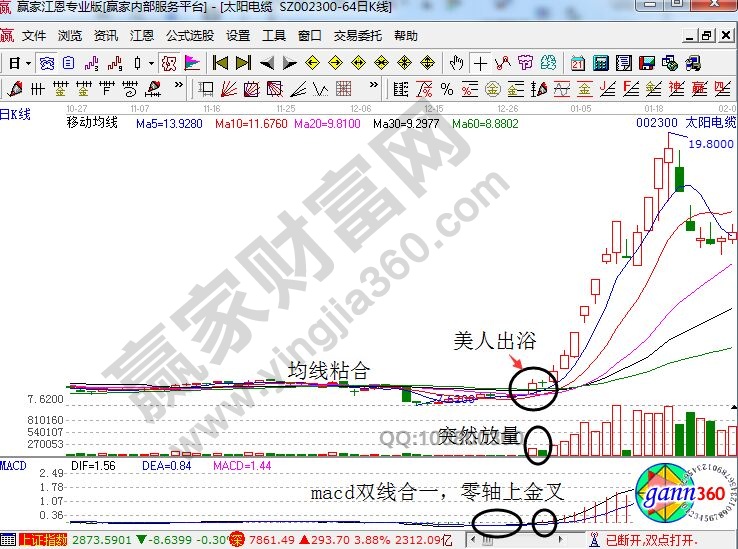 太陽電纜.jpg