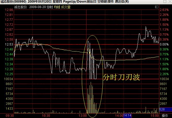 誠(chéng)志股份分時(shí)走勢(shì)圖2.jpg