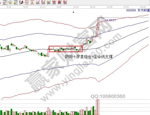 陰陽十字星組合