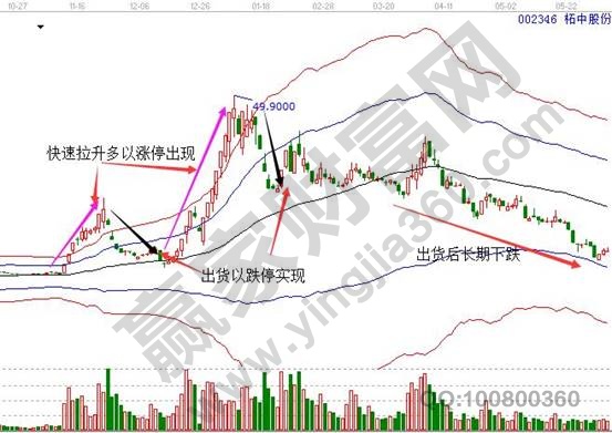 柘中股份002346溫州幫操作