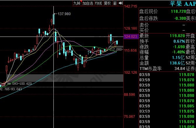 全球市值最高的公司