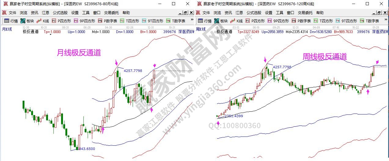 中藥指數(shù)分析