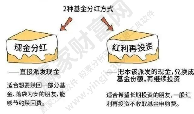 基金分紅方式選哪種好